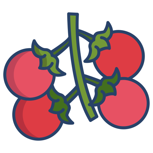 Tomatplanta