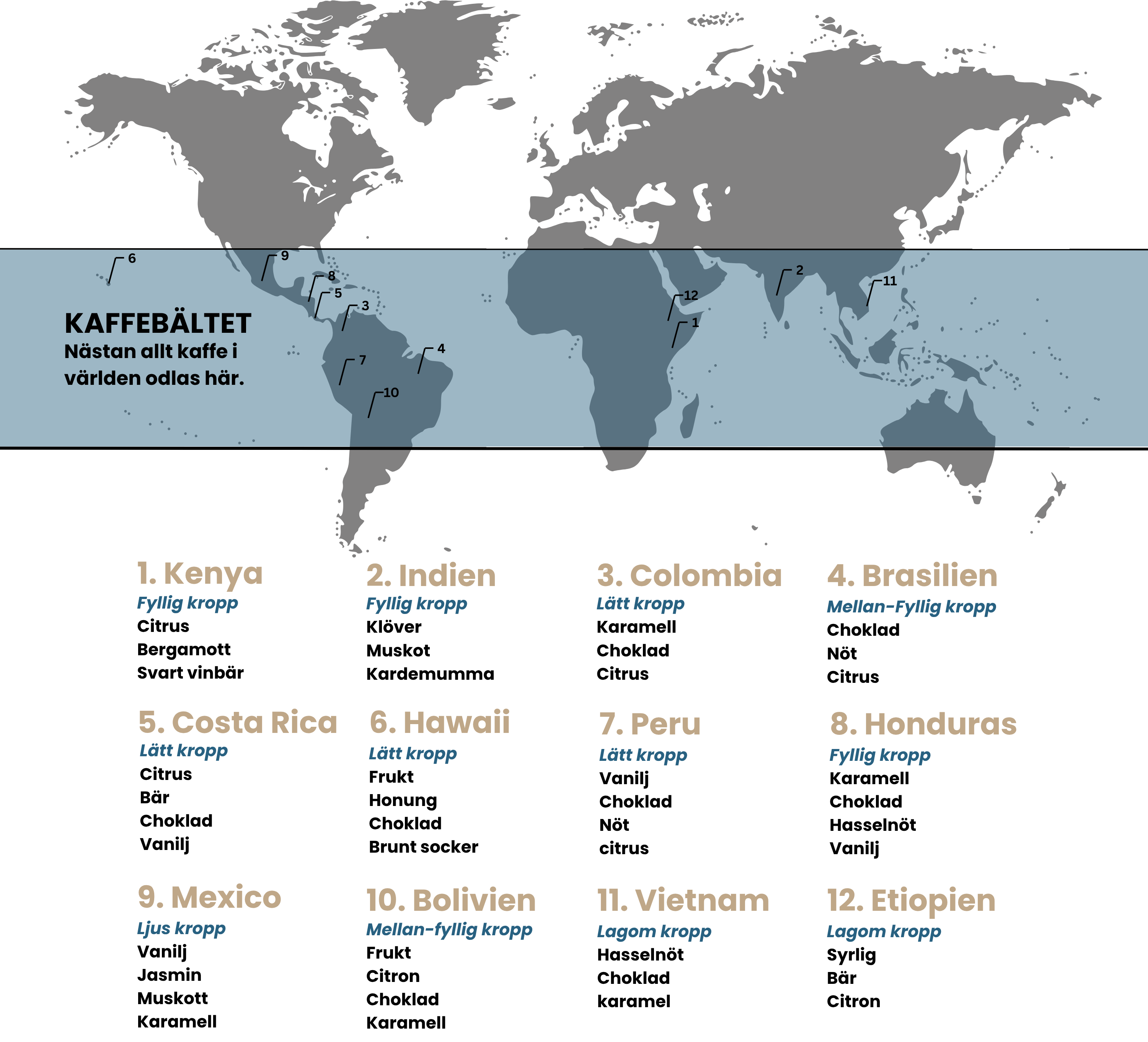 En bild som visar kaffebältet samt en lista på 12 olika länder med deras vanliga kaffesmaker